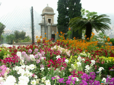 Монако. Ботанический сад