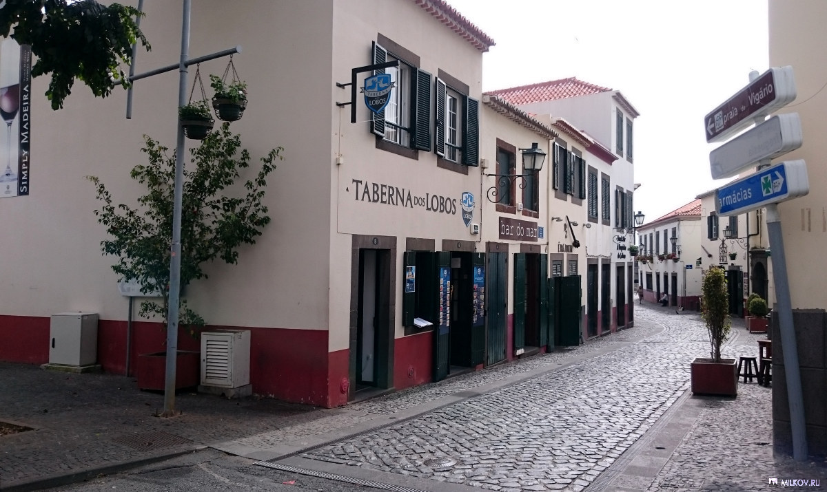 Taberna dos Lobos. Камаро де Лобош, Мадейра, 2016