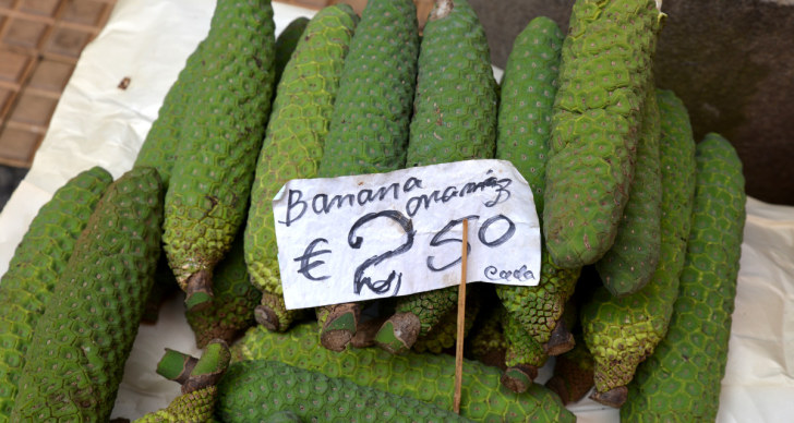 Банананас. Рынок Фуншала, Мадейра, 2016