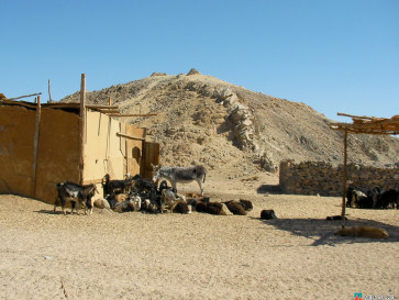 Египет. Деревня бедуинов