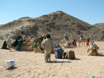 Египет. Деревня бедуинов