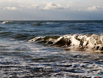 Прибалтика-2009. Куршская коса. Балтийское море