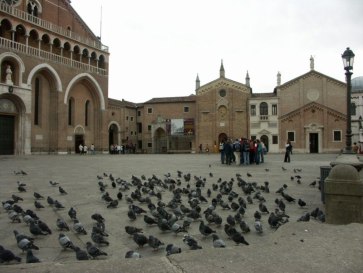 Basilica di SantAntonio da Padova