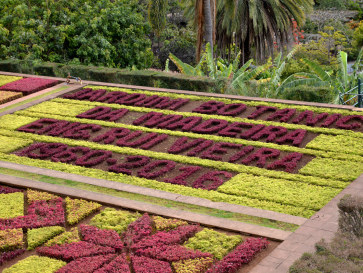 Ботанический сад Мадейры. Фуншал, 2016