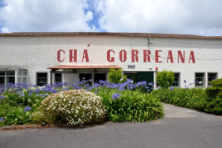 Фабрика по производству чая Cha Gorreana. Сан Мигель