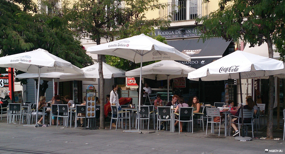 Ресторан La Bodega de St. Fernando (Севилья, Испания)