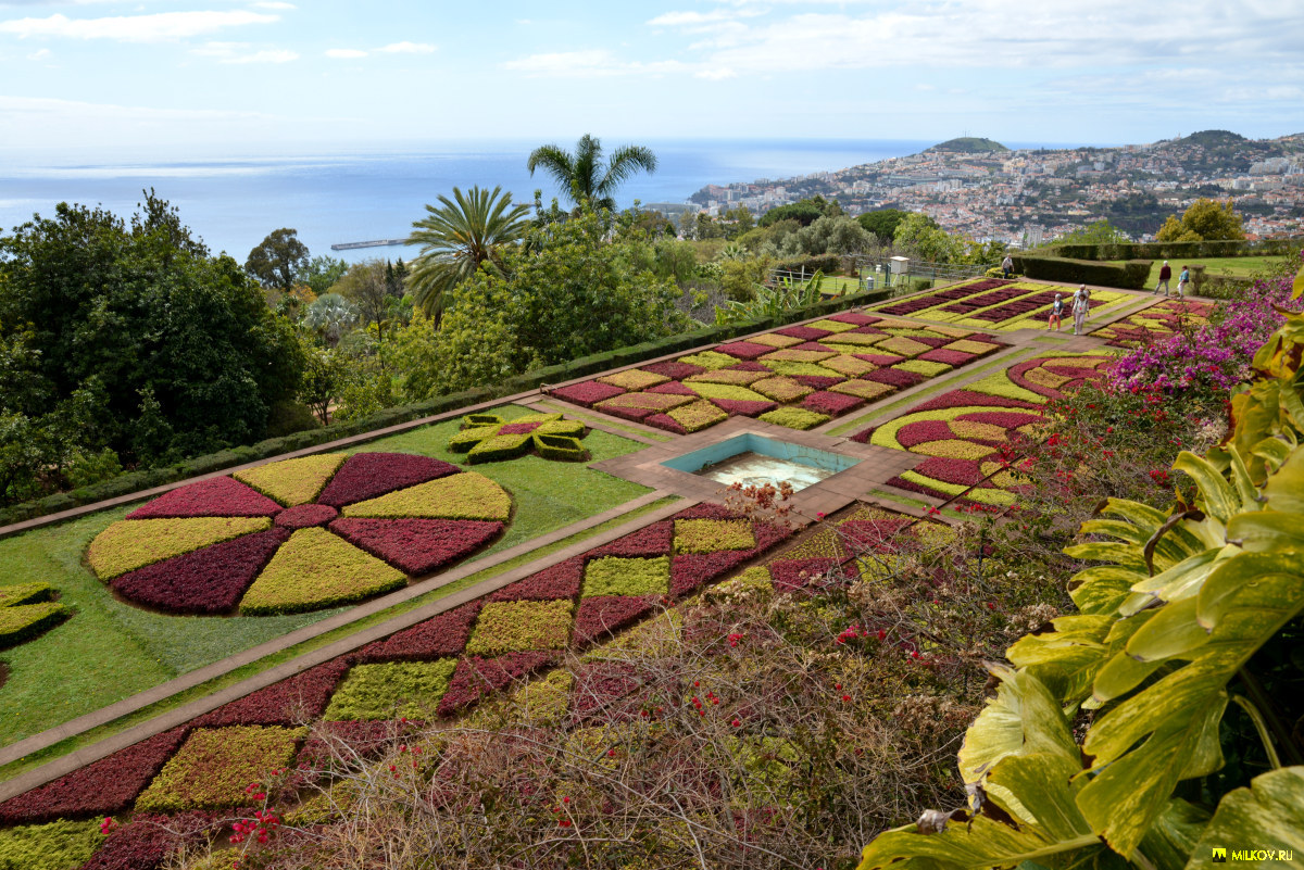 Ботанический сад Мадейры. Фуншал, Мадейра, 2016