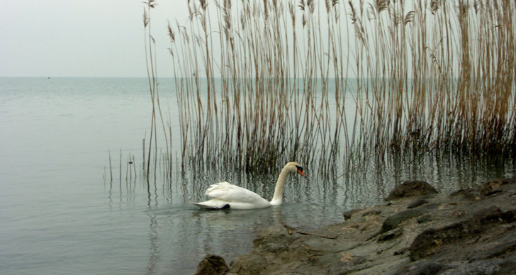 Озеро Гарда. 2005 г.