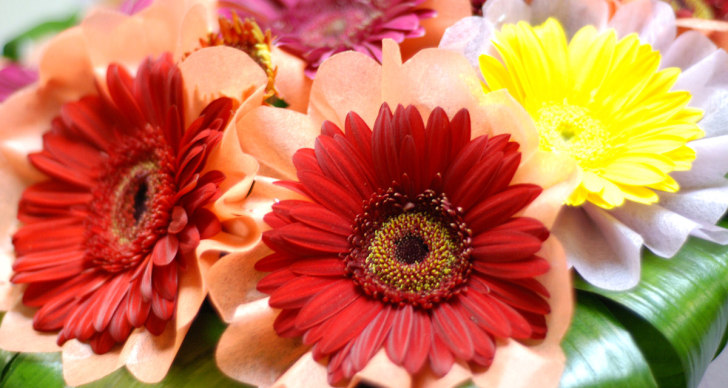 floracenter.jpg floracenter.jpg